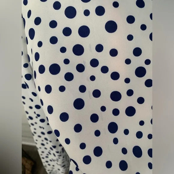 Lady Manhattan White Button Down with Blue Polka Dots - SZ 12 - Picture 5 of 5
